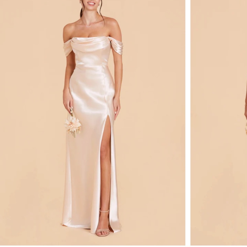 Birdy Grey Champagne Convertible Dress (Mia)